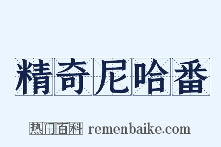 精奇尼哈番是什么意思的图片